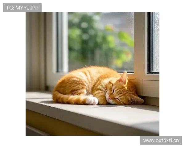 听说陈艺文家里连猫都比我工资高？真的假的？